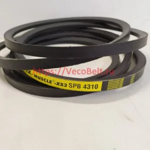 spb 4310 pix muscle-xs3