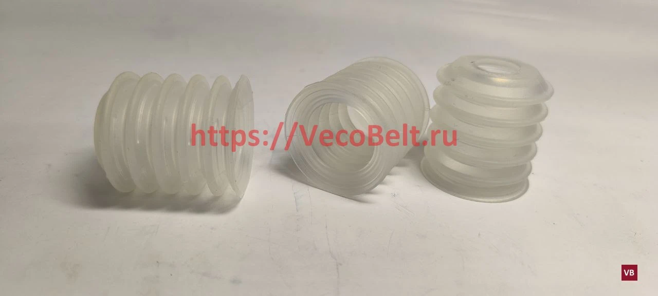 250.039.009.02 morali