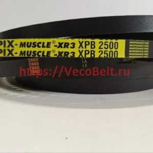 XPB 2500 pix-MUSCLE-XR3