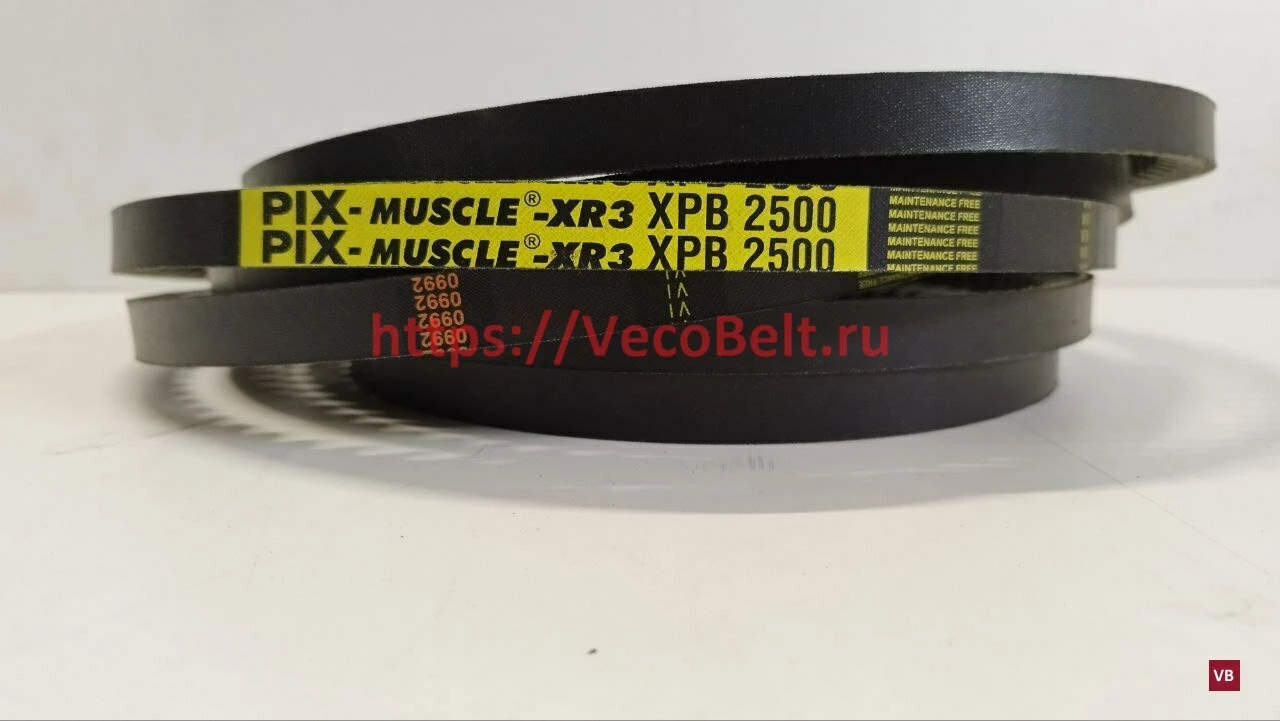 XPB 2500 pix-MUSCLE-XR3