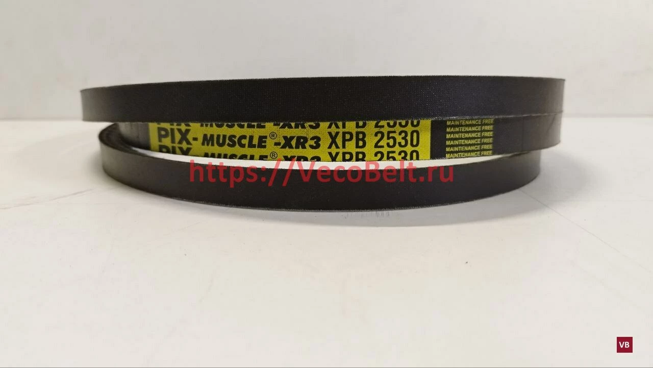 XPB 2530 pix-MUSCLE-XR3