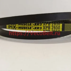 XPB 2650 pix-MUSCLE-XR3