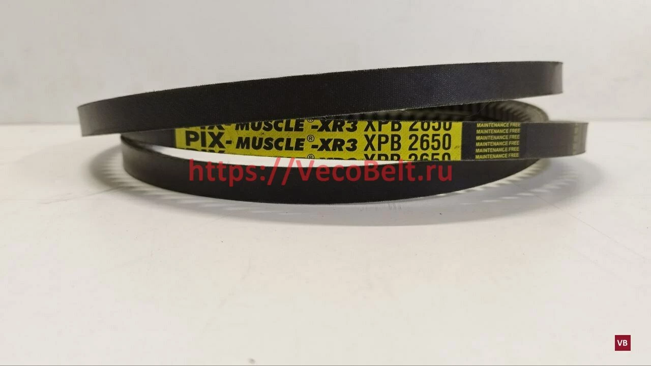 XPB 2650 pix-MUSCLE-XR3