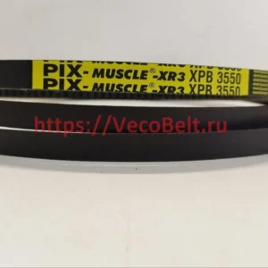 XPB 3550 pix-MUSCLE-XR3