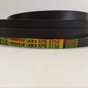XPB 3750 pix-MUSCLE-XR3