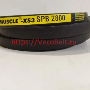 spb 2800 pix-muscle-xs3