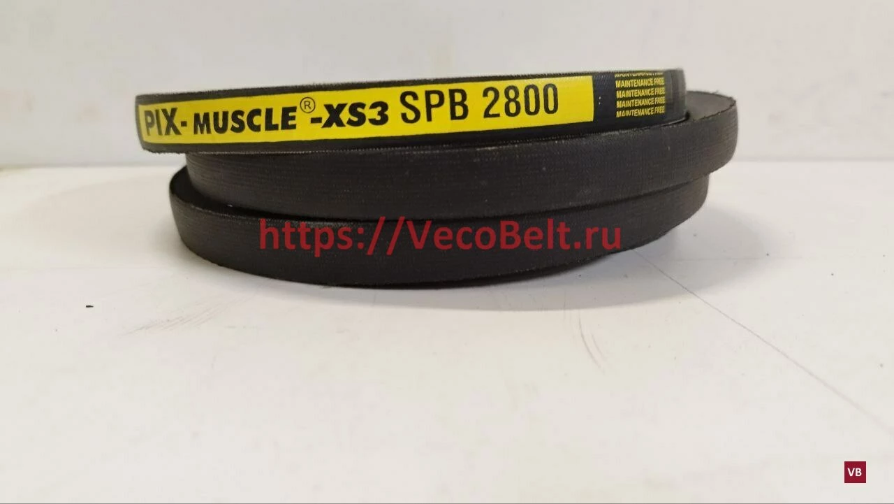 spb 2800 pix-muscle-xs3