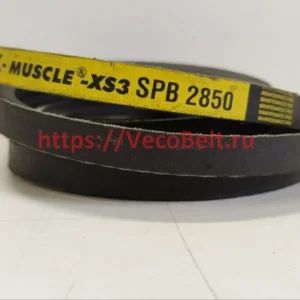 spb 2850 pix-muscle-xs3