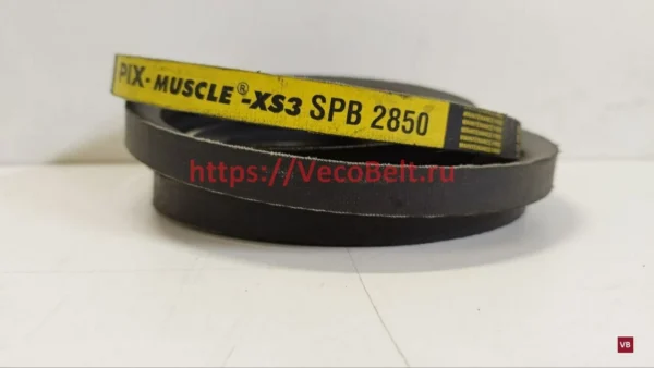 spb 2850 pix-muscle-xs3