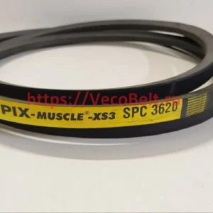 spc 3620 pix-muscle-xs3