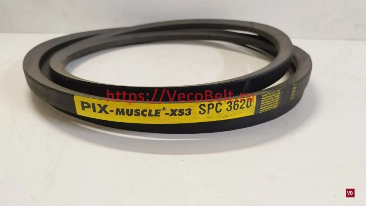 spc 3620 pix-muscle-xs3