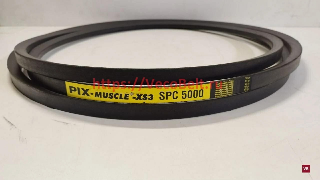 spc 5000 pix-muscle-xs3