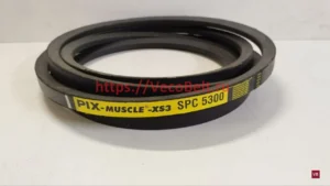 spc 5300 pix-muscle-xs3