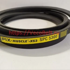 spc 5300 pix-muscle-xs3