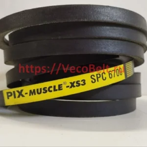 spc 6700 pix-muscle-xs3