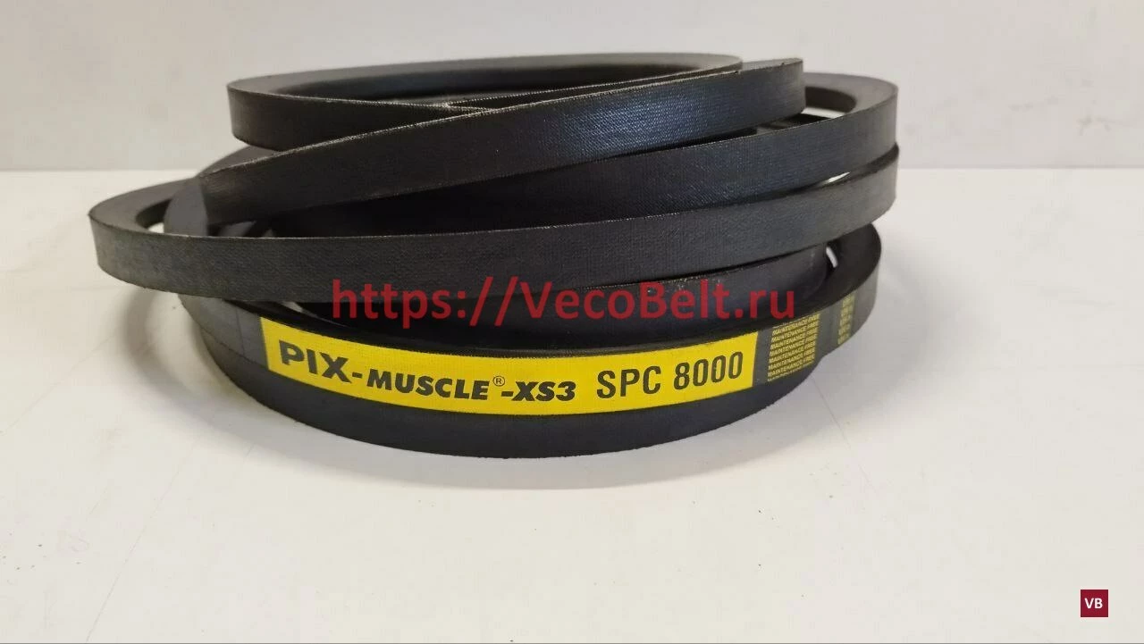 spc 8000 pix-muscle-xs3