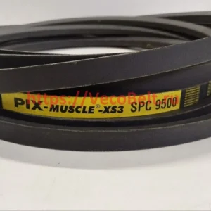spc 9500 pix-muscle-xs3