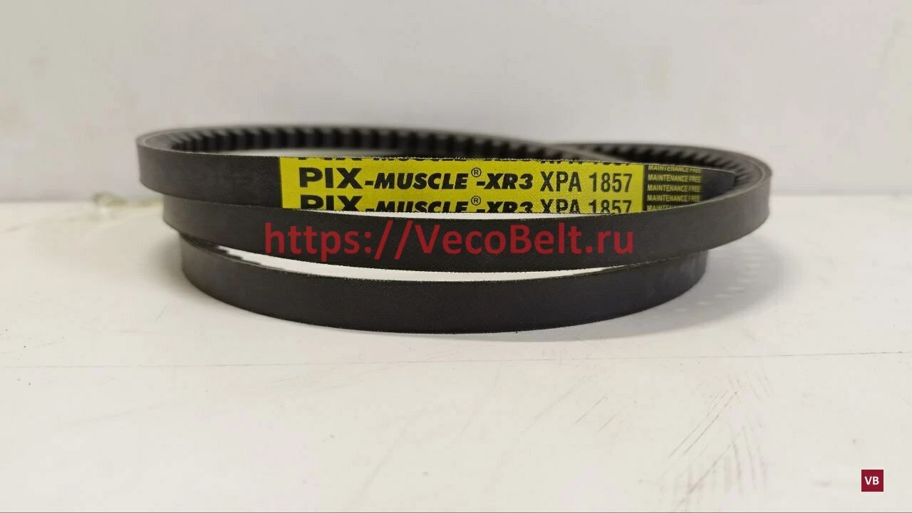 xpa 1857 pix-muscle-xr3