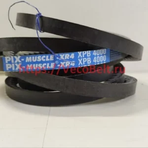 xpb 4000 pix-muscle-xr4