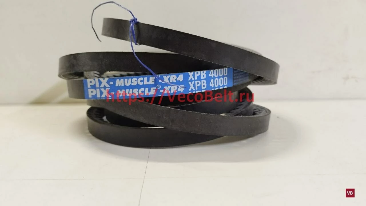 xpb 4000 pix-muscle-xr4