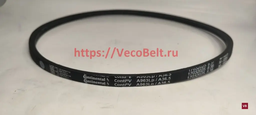 a36,5 conti-v
