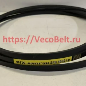 spb 4620 pix-muscle-xs3