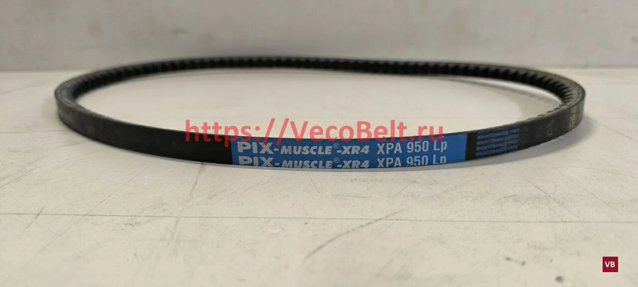 XPA 950 pix muscle-xr4