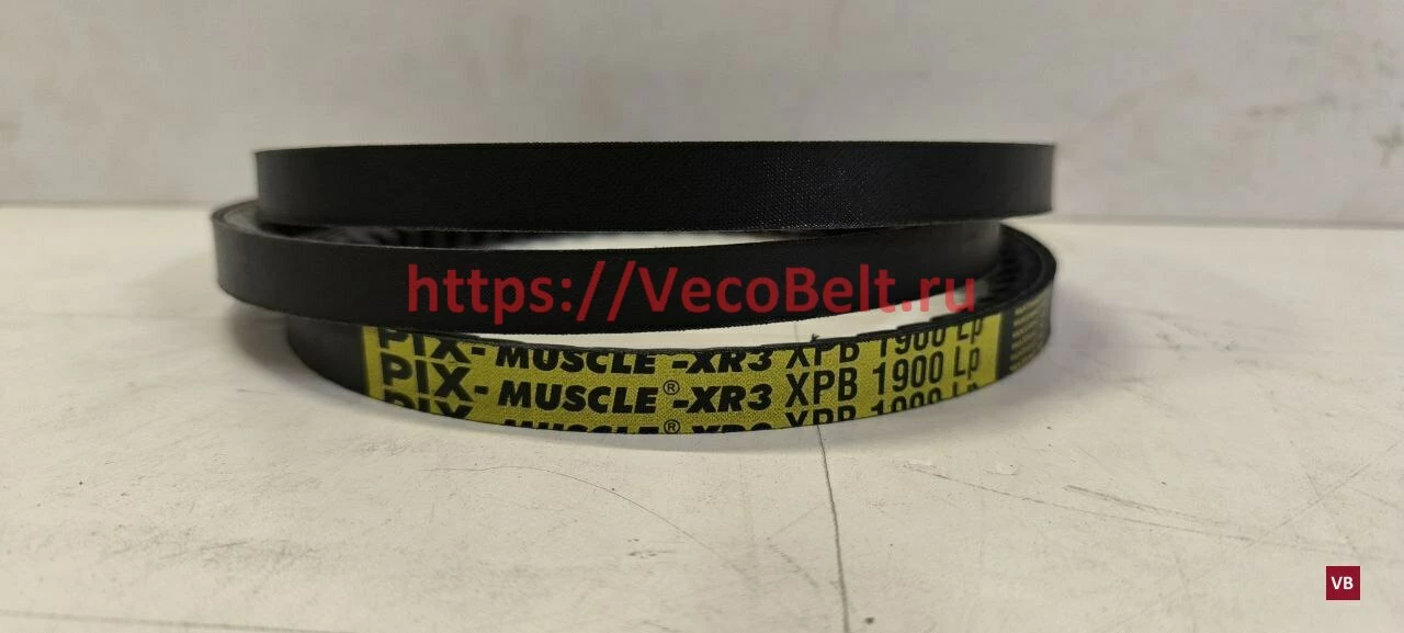 xpb 1900 pix muscle-xr3