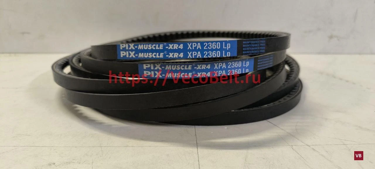 xpa 2360 pix muscle xr4