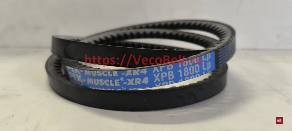 xpb 1800 pix muscle-xr4