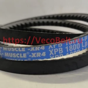 xpb 1800 pix muscle-xr4