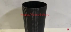 htd 385 5M contitech