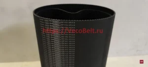 htd 575 5M contitech