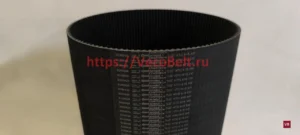 htd 615 5M contitech