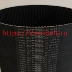 htd 615 5M contitech