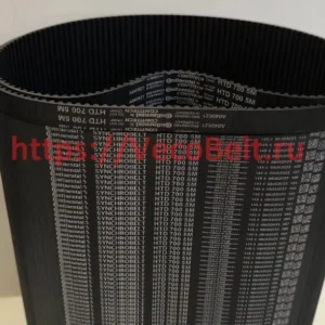 htd 700 5M contitech