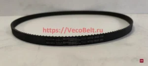 htd 900 5M contitech