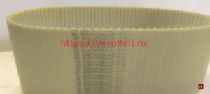 t10 1010 synchroflex contitech