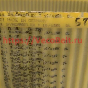 t10 1250 dl synchroflex contitech