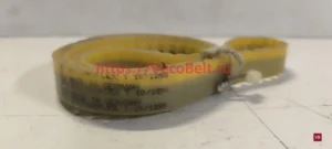 t10 1250 synchroflex contitech