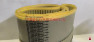 t10 1880 synchroflex contitech