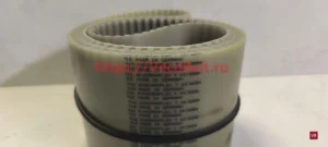 t10 2250 synchroflex contitech