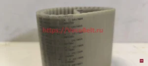 t10 400 synchroflex contitech