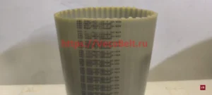 t10 410 synchroflex contitech