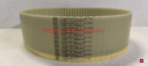 t10 810 synchroflex contitech