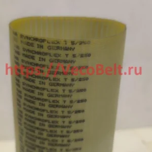 t5 250 synchroflex contitech