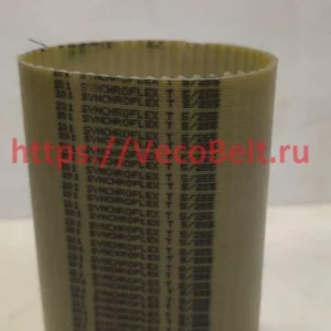 t5 255 synchroflex contitech