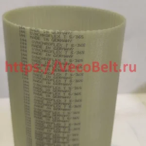 t5 365 synchroflex contitech