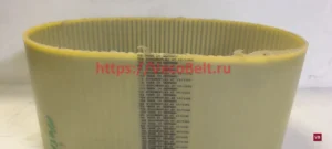 at10 1100 synchroflex contitech