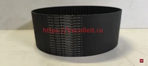 244 L synchrobelt contitech
